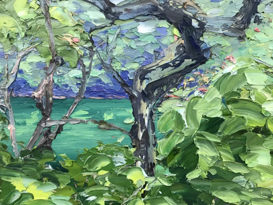 Sea Of Green - Image 3