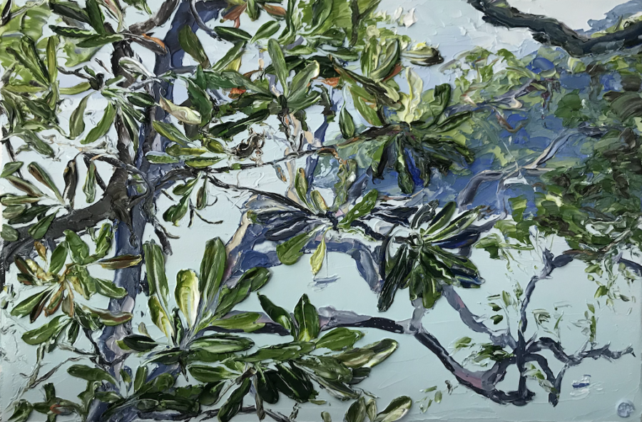 Banksia Blue