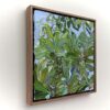 integrifolia 2