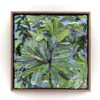 integrifolia 3