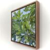 integrifolia 1