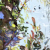Anyone For Tea, detail