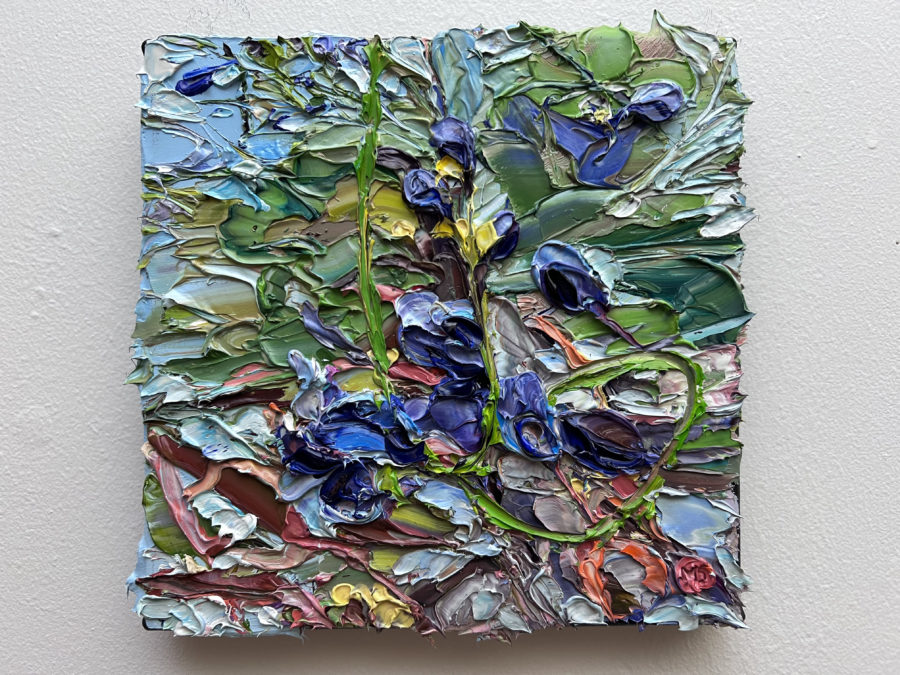 Spring Flowers