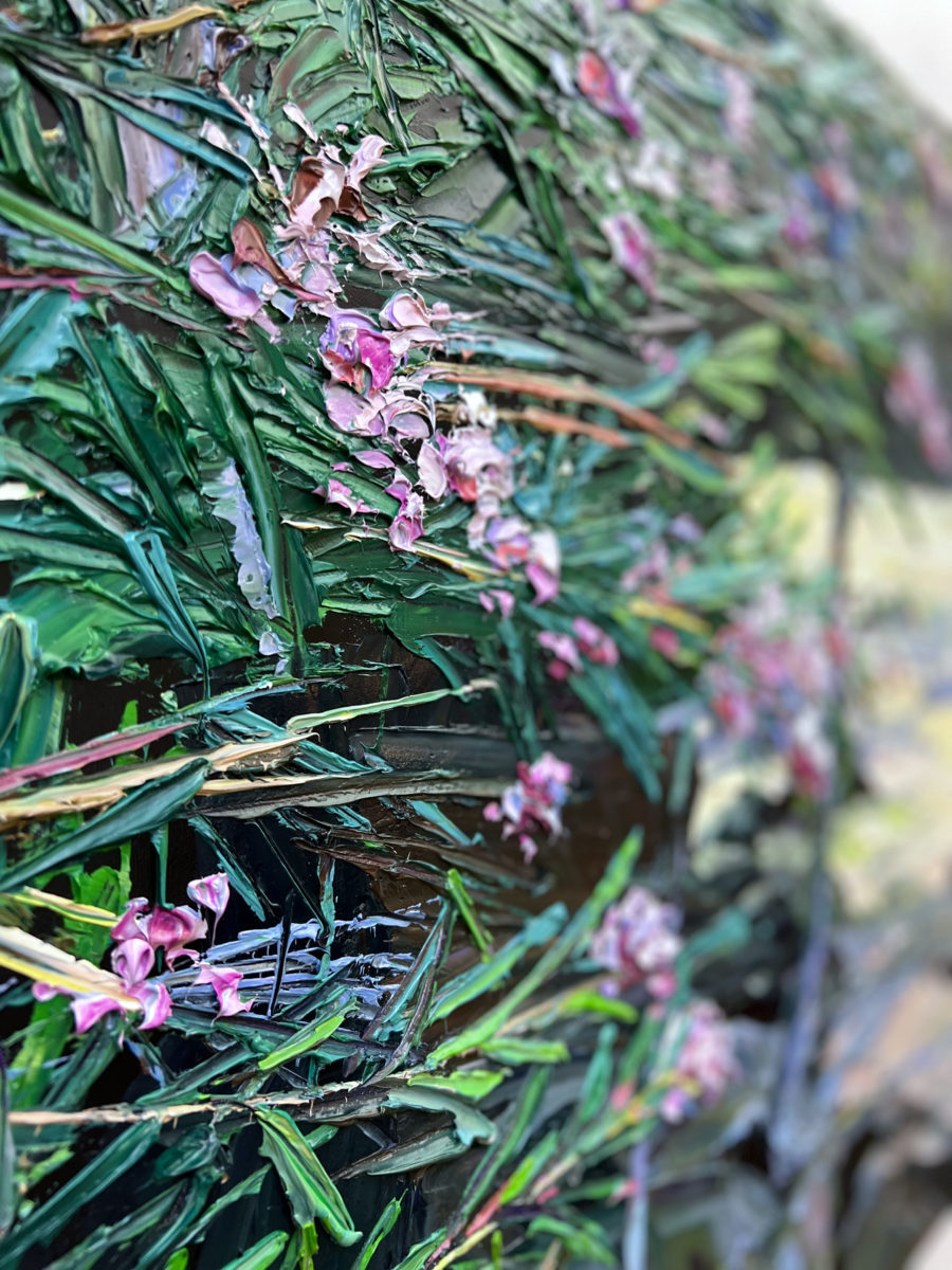 Grevillea On Taylors Bay