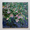 Grevillea Girls