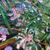 Pink Rinse