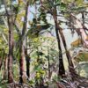 Eucalyptus Edge