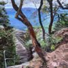 Hold The Handrail