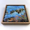 Mountain Blue Gum 1