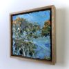 Mountain Blue Gum 2