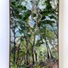 Eucalyptus Edge