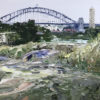Carradah Park
