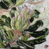Fat Banksia No.1