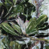 Fat Banksia No.2