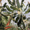 Banksia Of My Mind