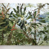 Banksia Of My Mind