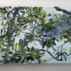 Banksia Blue