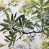 Banksia My Banksia