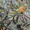 Libertarian Banksia