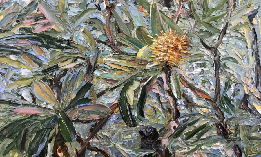 Libertarian Banksia