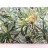 Libertarian Banksia