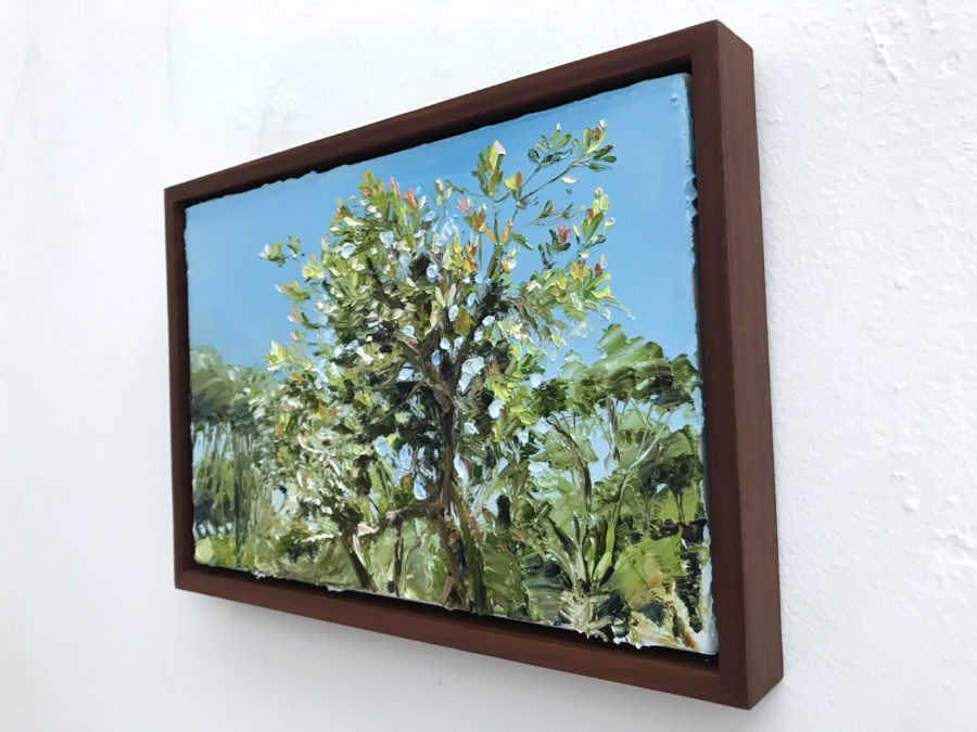 Wild About Banksia