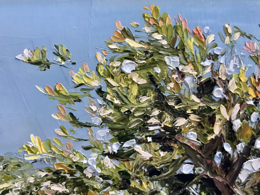 Wild About Banksia