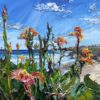 Landscape Lily