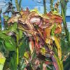 Dying Lily