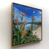 Tamarama Canna Lily
