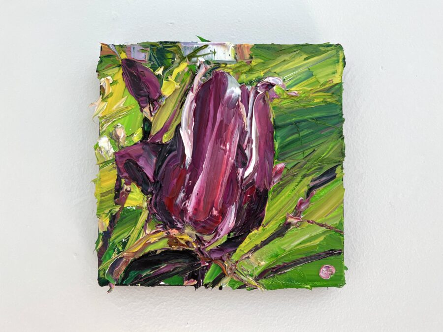 Magnolia