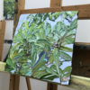 integrifolia 2