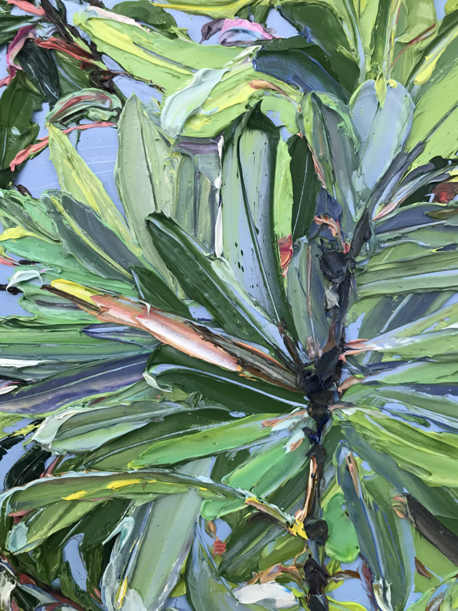 integrifolia 3