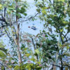 House Boat Hire