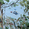 House Boat Hire
