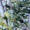 House Boat Hire detail