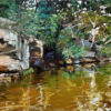 Long Bay At Cammeray Triptych